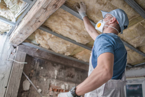 Best Insulation Installation Services in Adamstown, MD